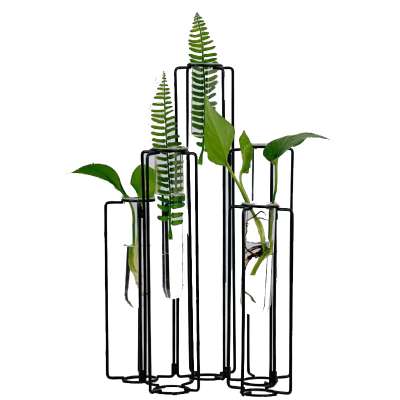 Simple flower arrangement hydroponic vase green plant decoration  for room decoration glass vases