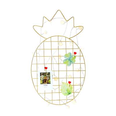 Pineapple grid decoration girl dormitory creative  photo Iron frame